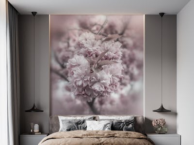 Cherry blossoms in detail