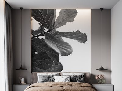 Minimal Fiddle Leaf Fig 1