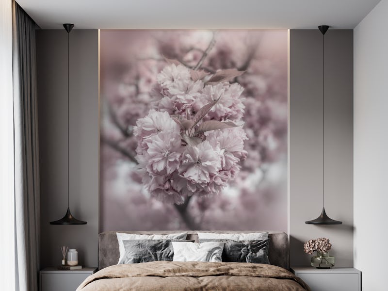 Cherry blossoms in detail