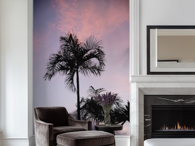 Summer Night Magic Palms 1