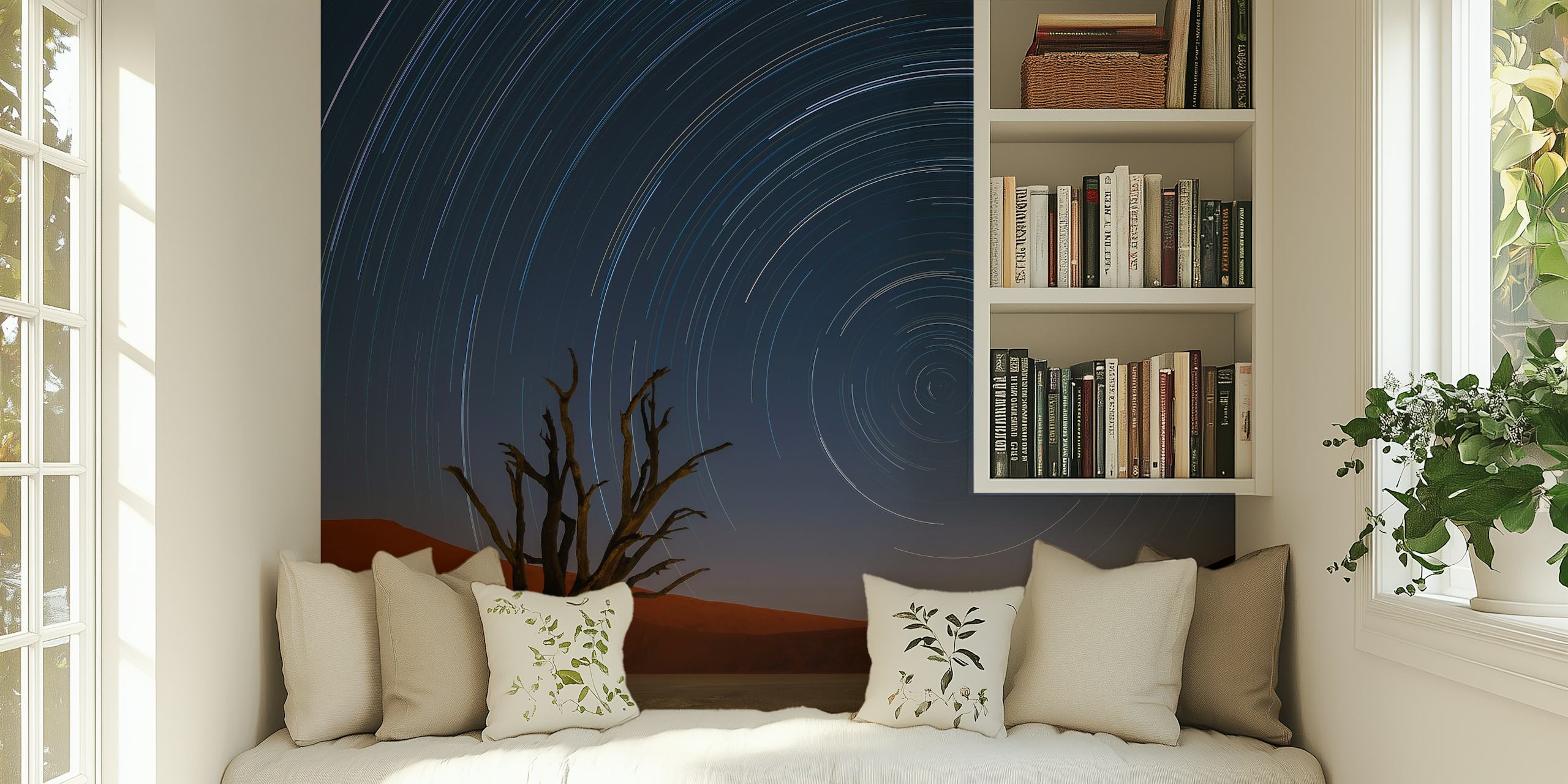 Star Trails of Namibia wallpaper in a room