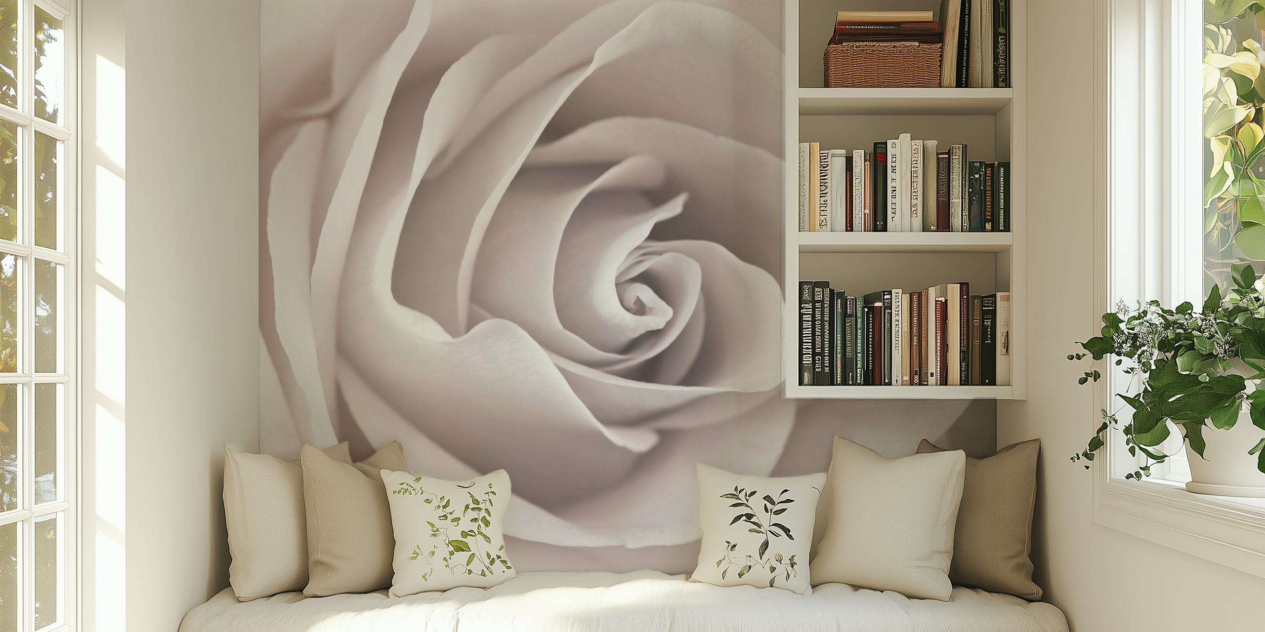 Captivating Rose wallpaper in a room