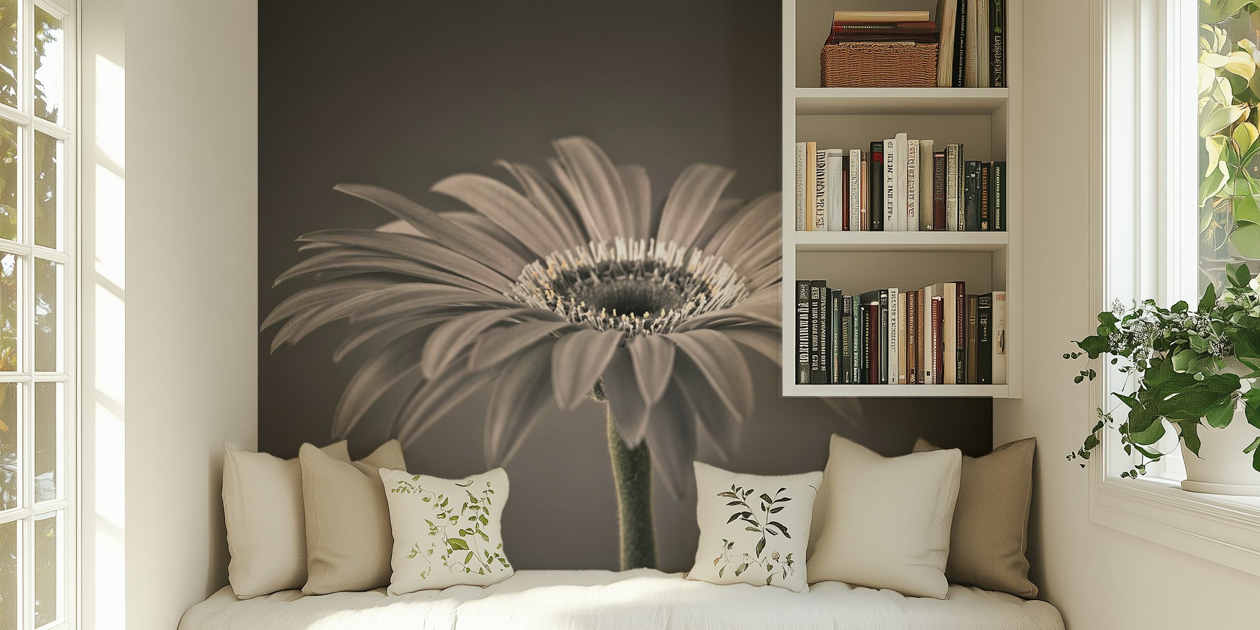 Radiant Gerbera wallpaper in a room