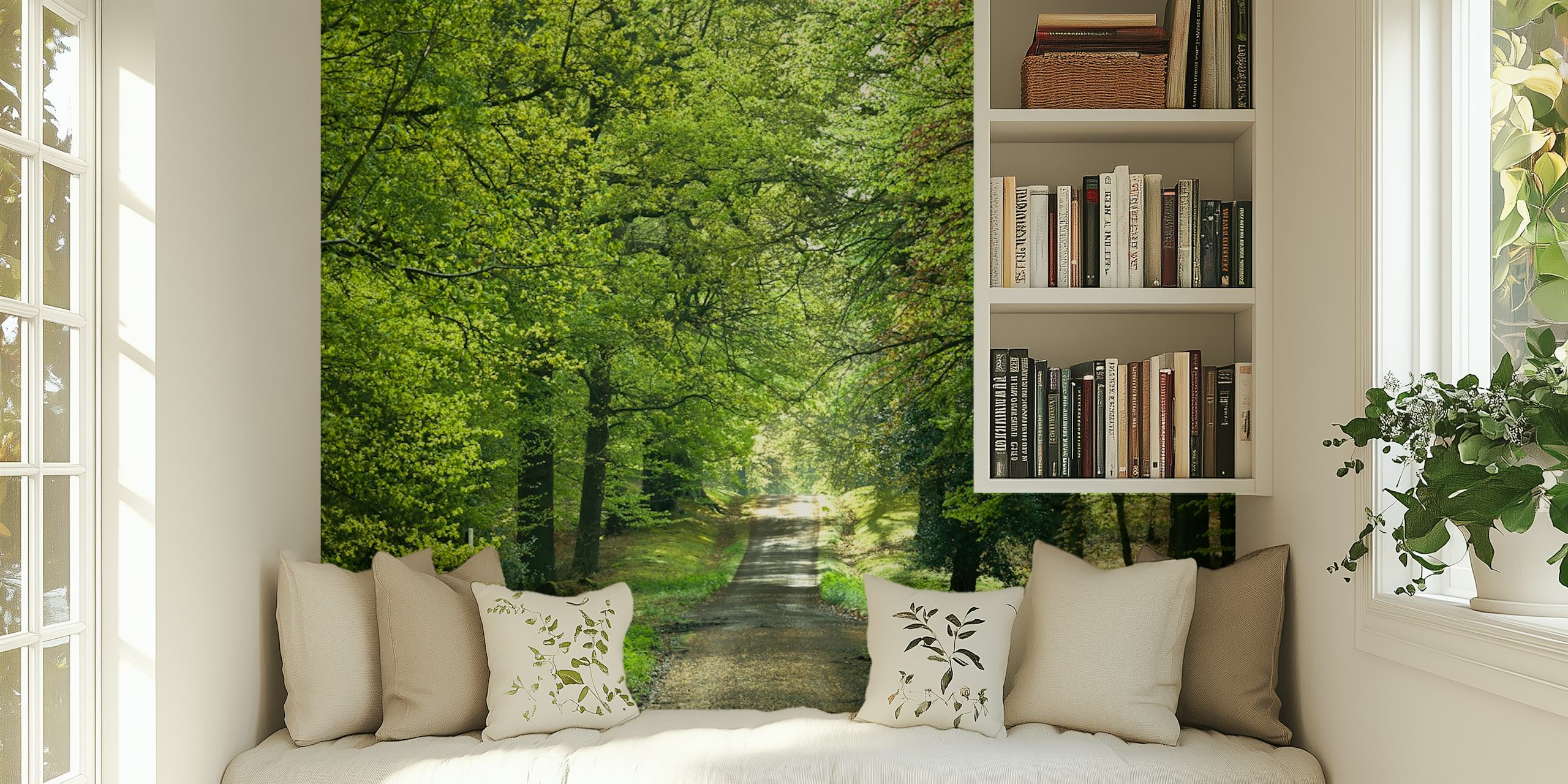 Lush green trees lining a forest path wallpaper