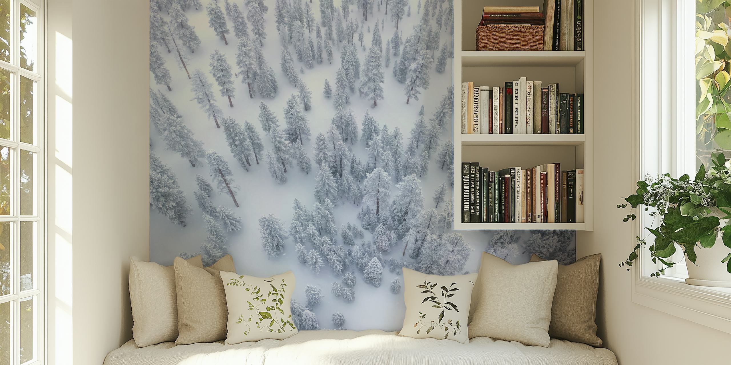 Aerial view of snowy winter forest with evergreen trees wallpaper