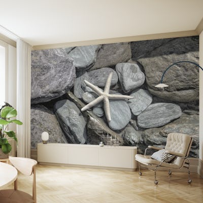 Starfish And Rocks