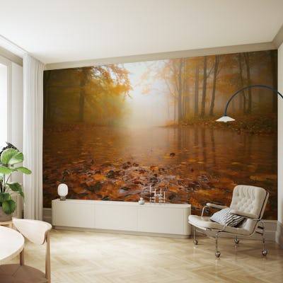 AUTUMN FLOODING