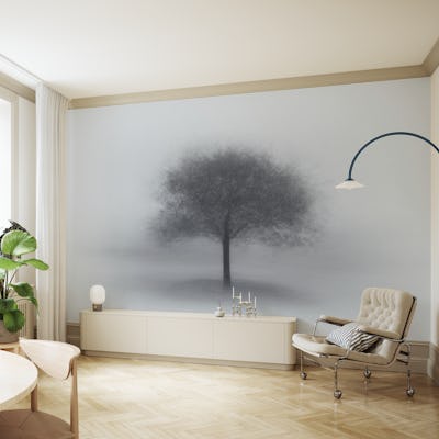 Tree in Fog