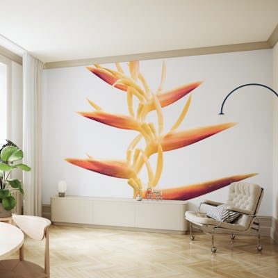 Heliconia mood