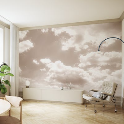 Soft Beige Clouds 5