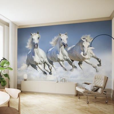 Horses winter