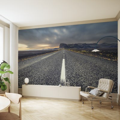 The road