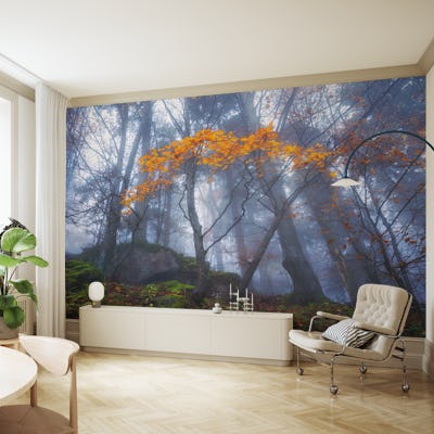 Misty Autumn Forest