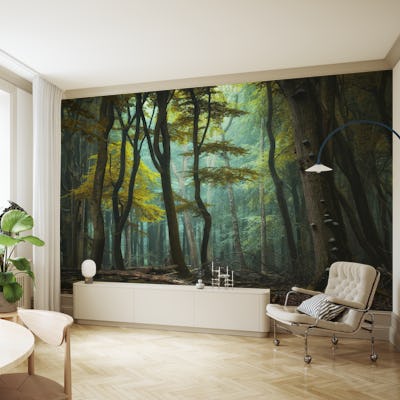 Mystical Forest Escape
