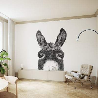 Peeking Donkey BW