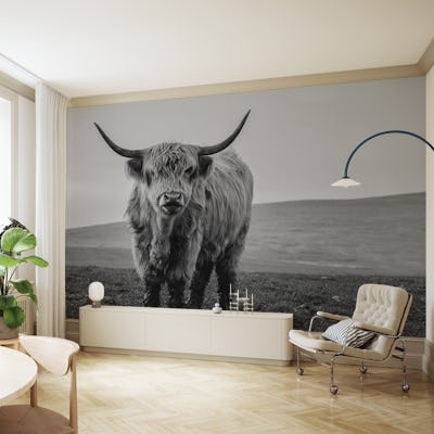 Charming Highland Cow Scene