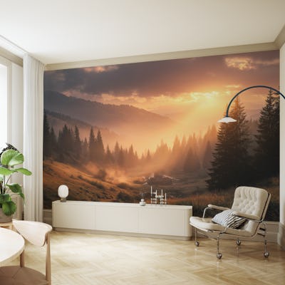 Morning Light Forest