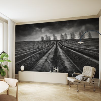 Flanders Fields III