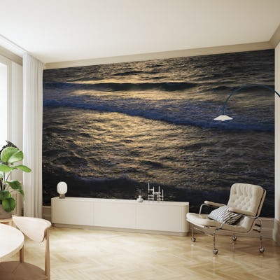 Seaside 41