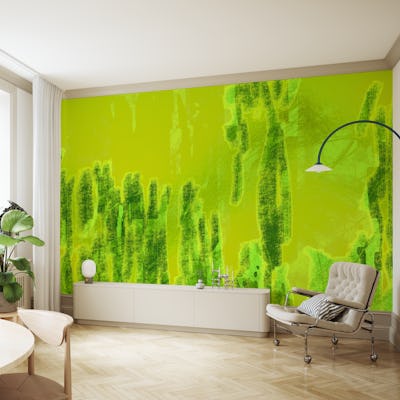 Bold Forest