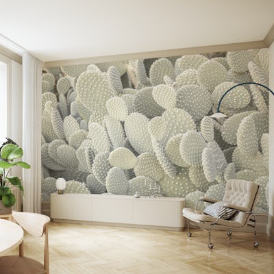 Prickly Beauty of Cacti