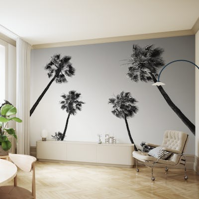 Under the Palm Trees 10
