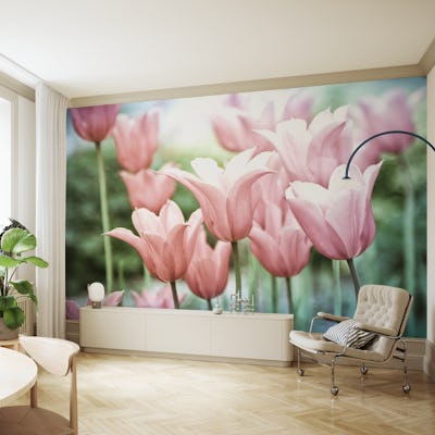 Beautiful Tulips