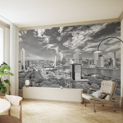 Fantastic Rotterdam Impression | Monochrome