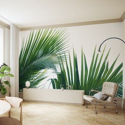 Lush Caribbean Palms 8