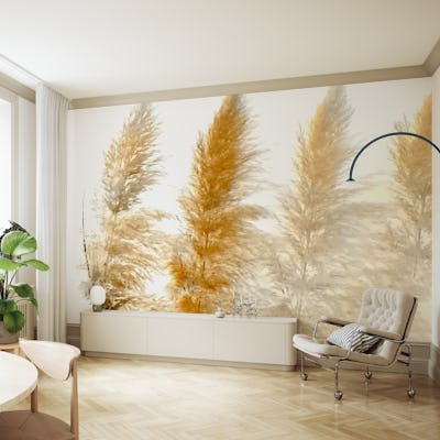 Sun Light Pampas Grass