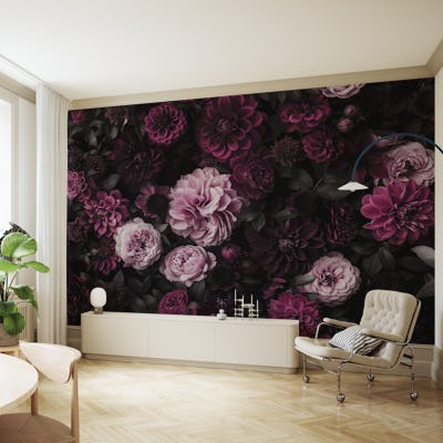 Blooming Midnight Dahlia Garden