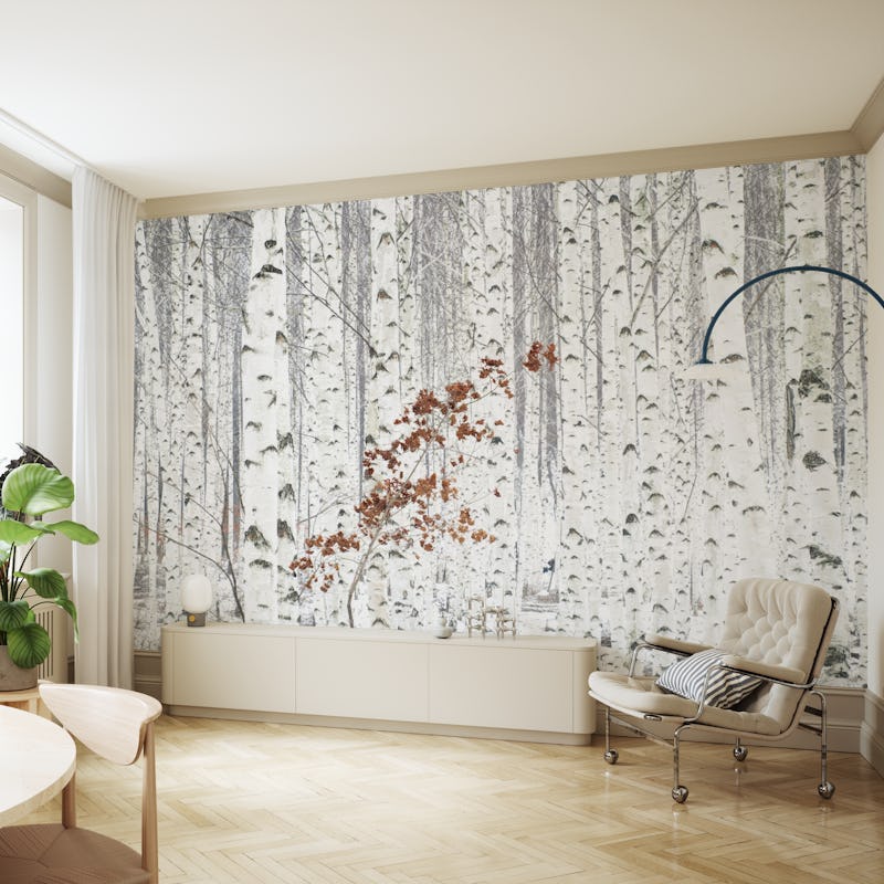 Winter Birches 2