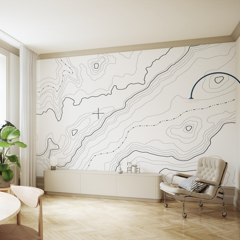 White topographical map