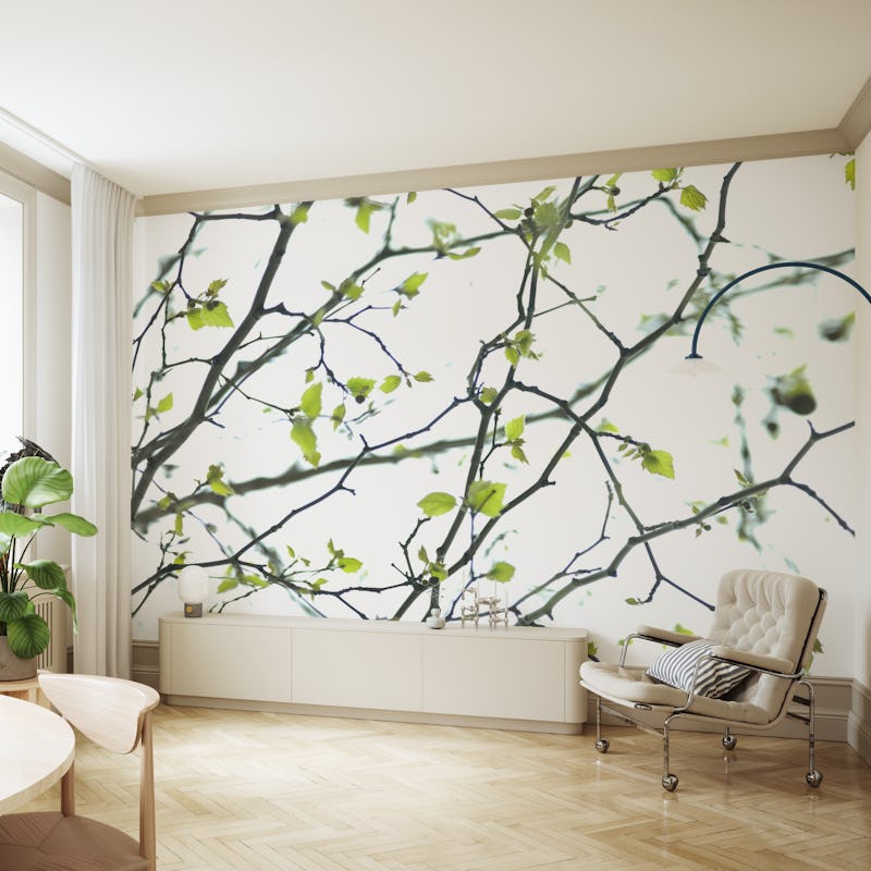 Tree branches 2