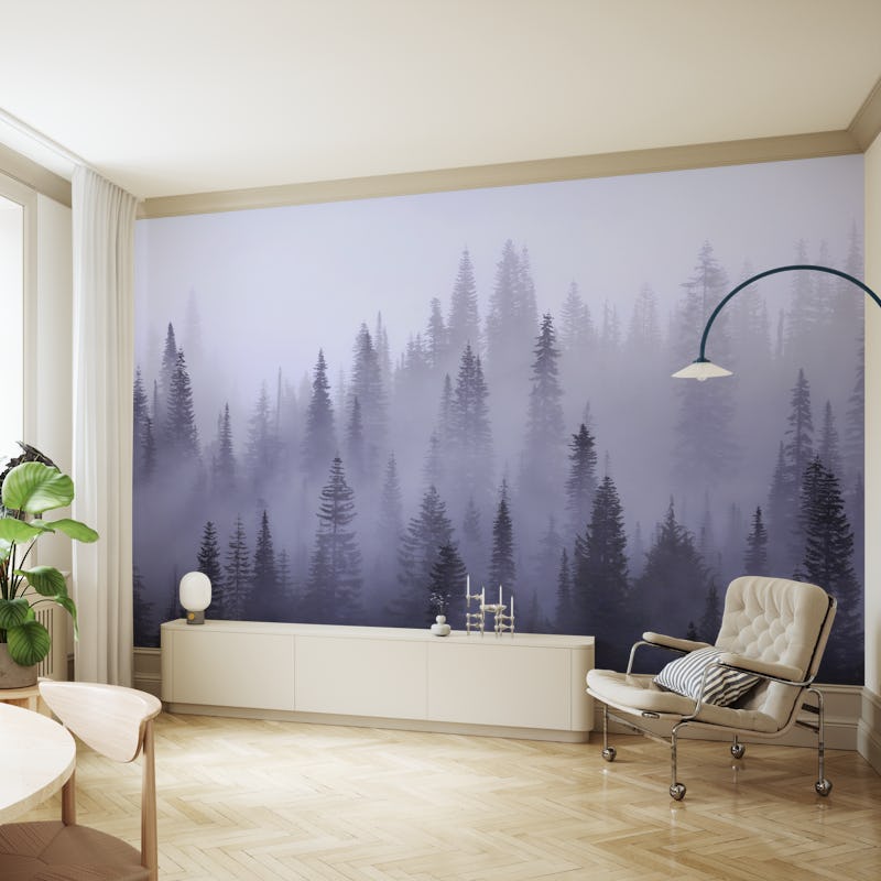 Misty forest