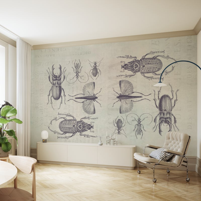 Bugs And Beetles