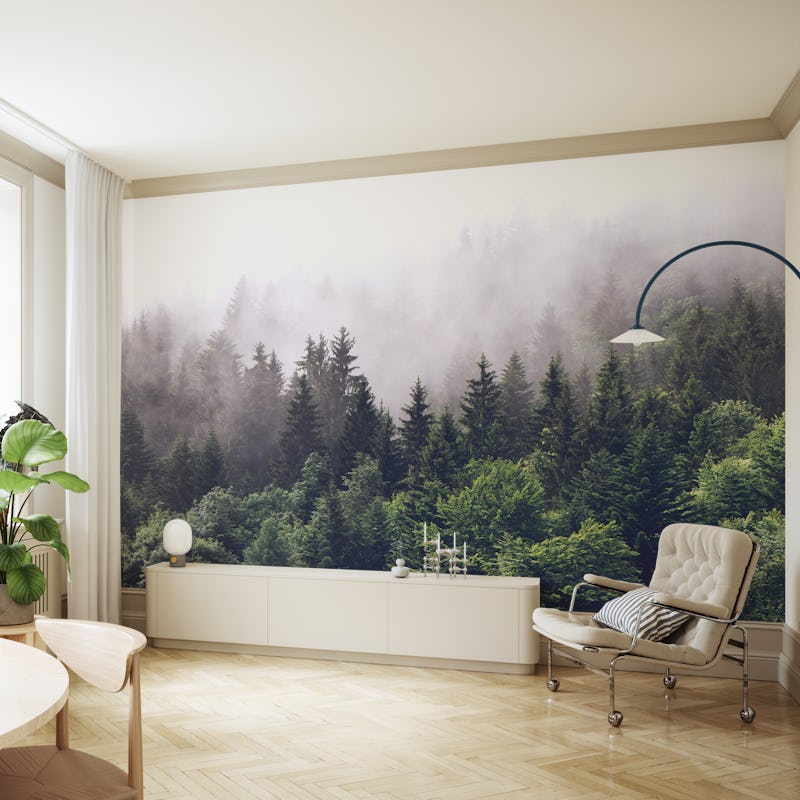 Cloudy forest