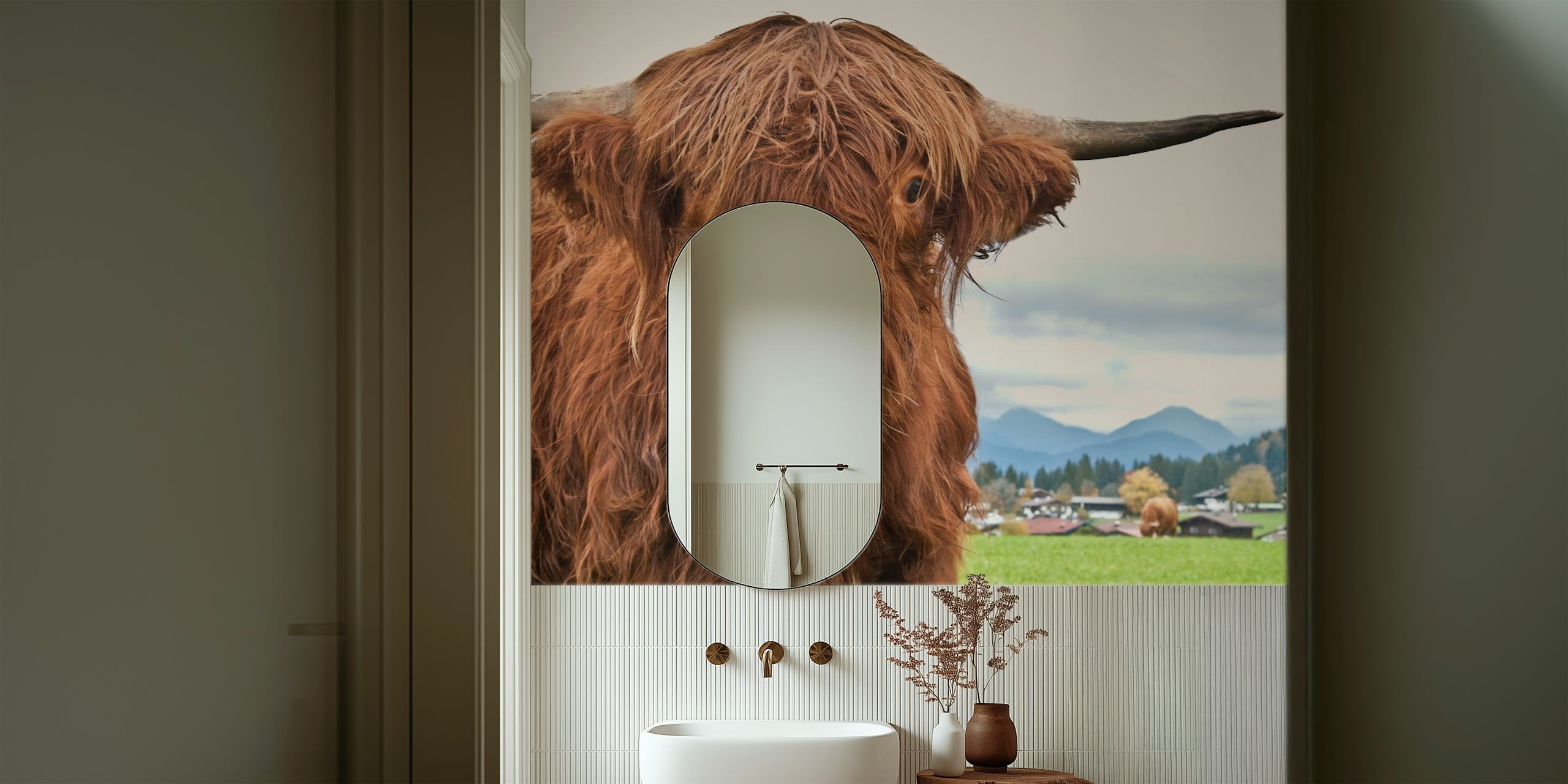 Highland cow with textured reddish fur against green grass and a blue sky wallpaper