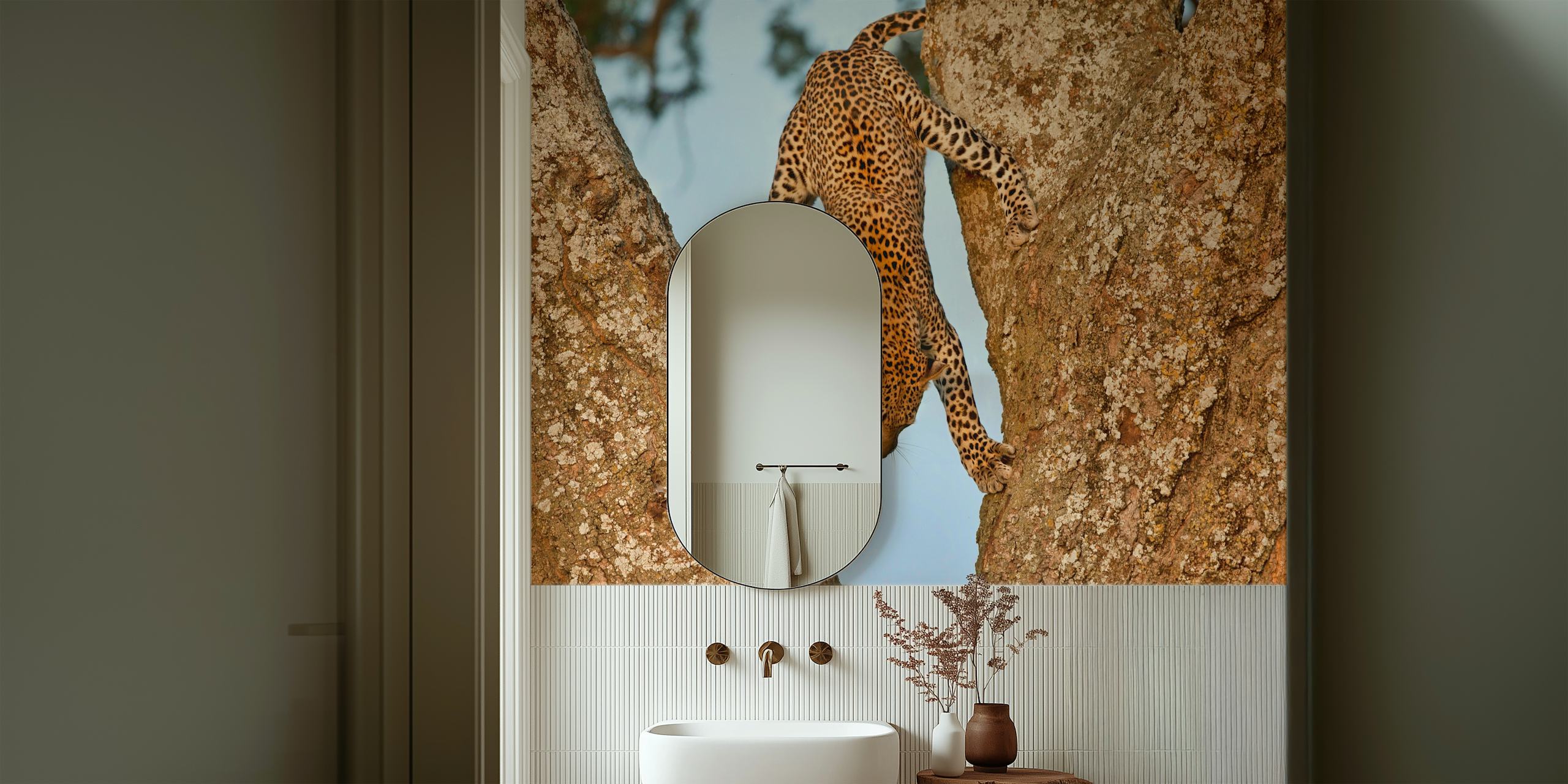 Leopard climbing upside down between tree branches wallpaper