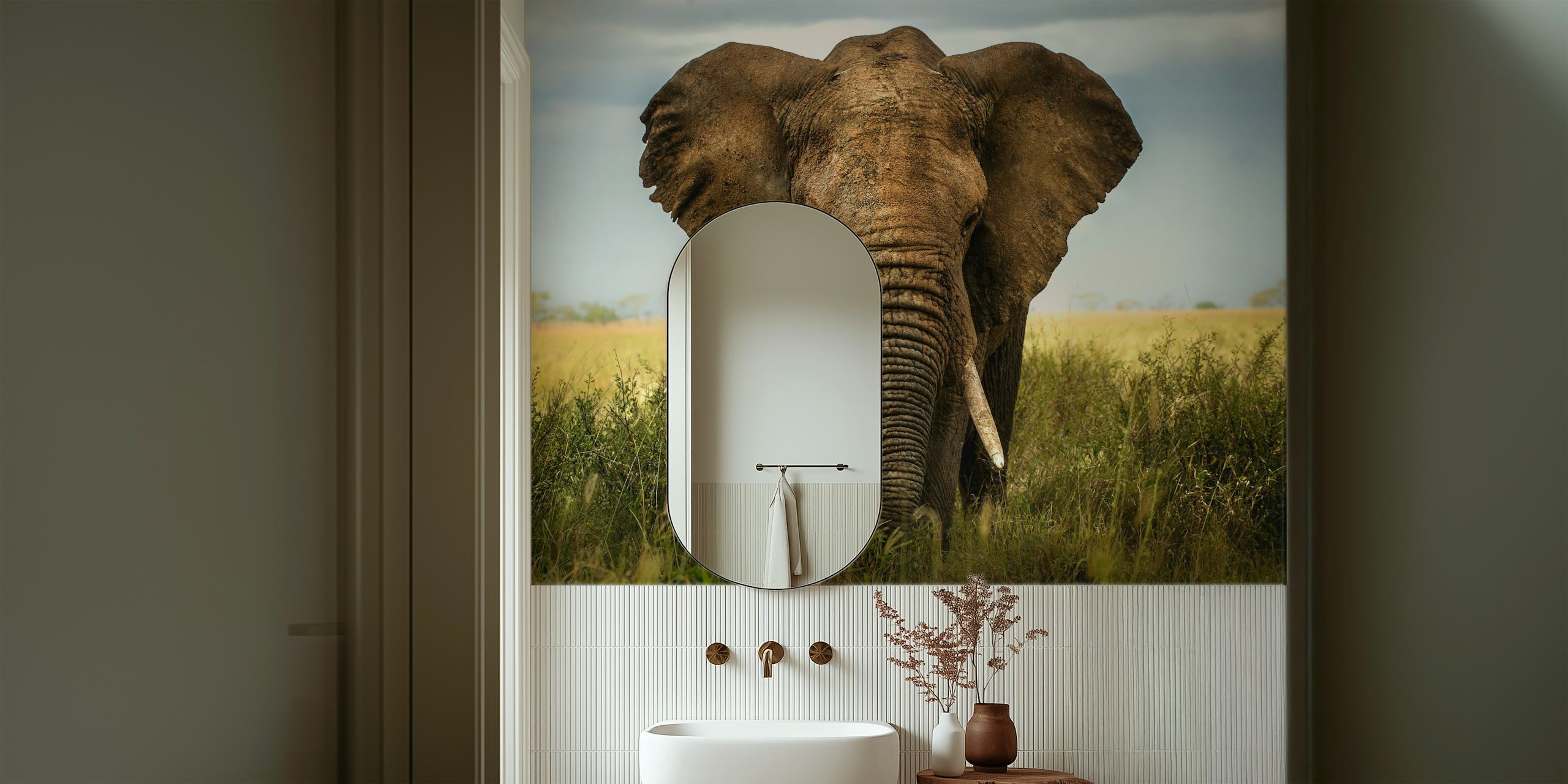 Elephant in grasslands under cloudy sky wallpaper
