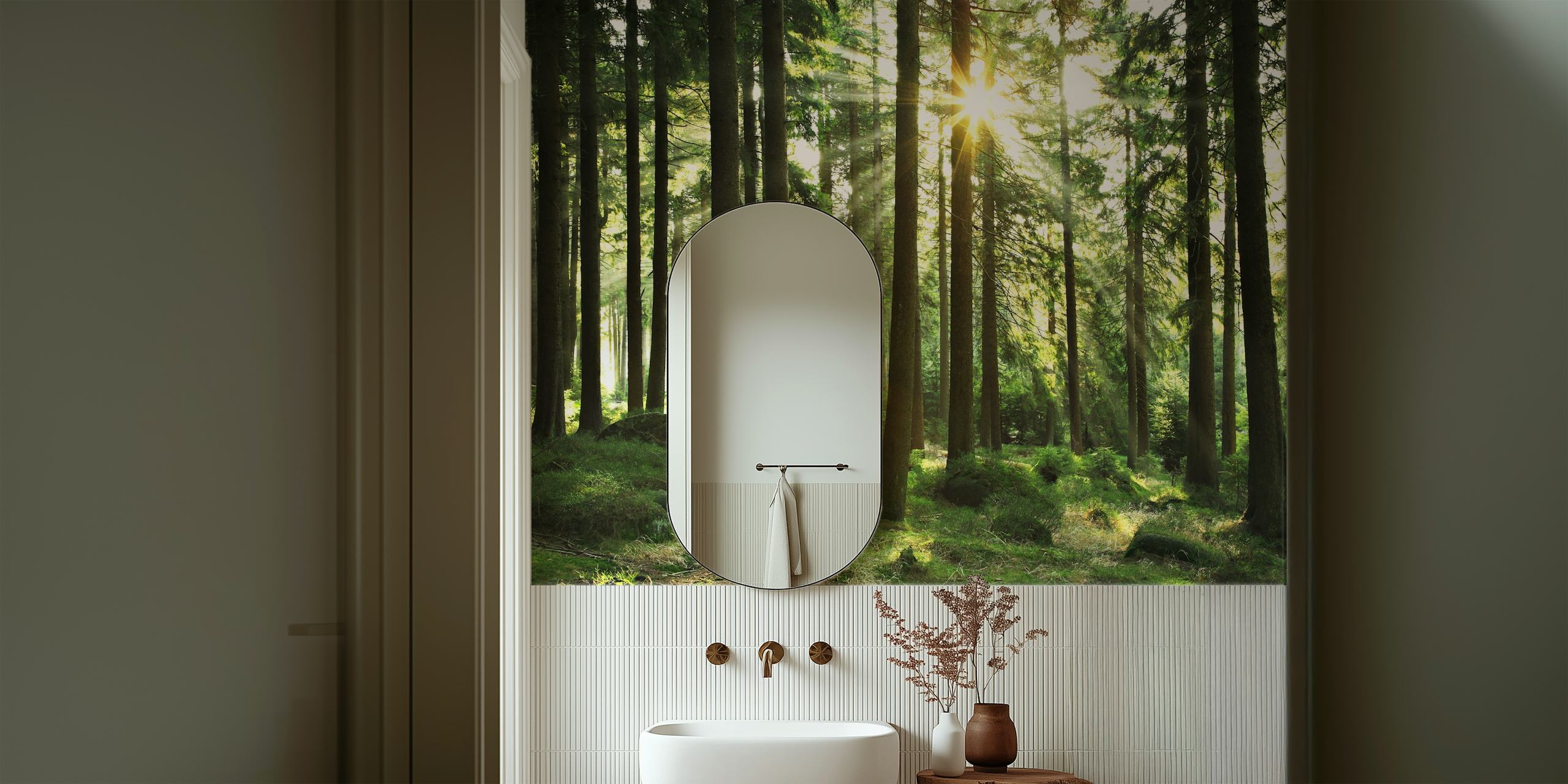 Sunlight filtering through tall trees in a green forest wallpaper