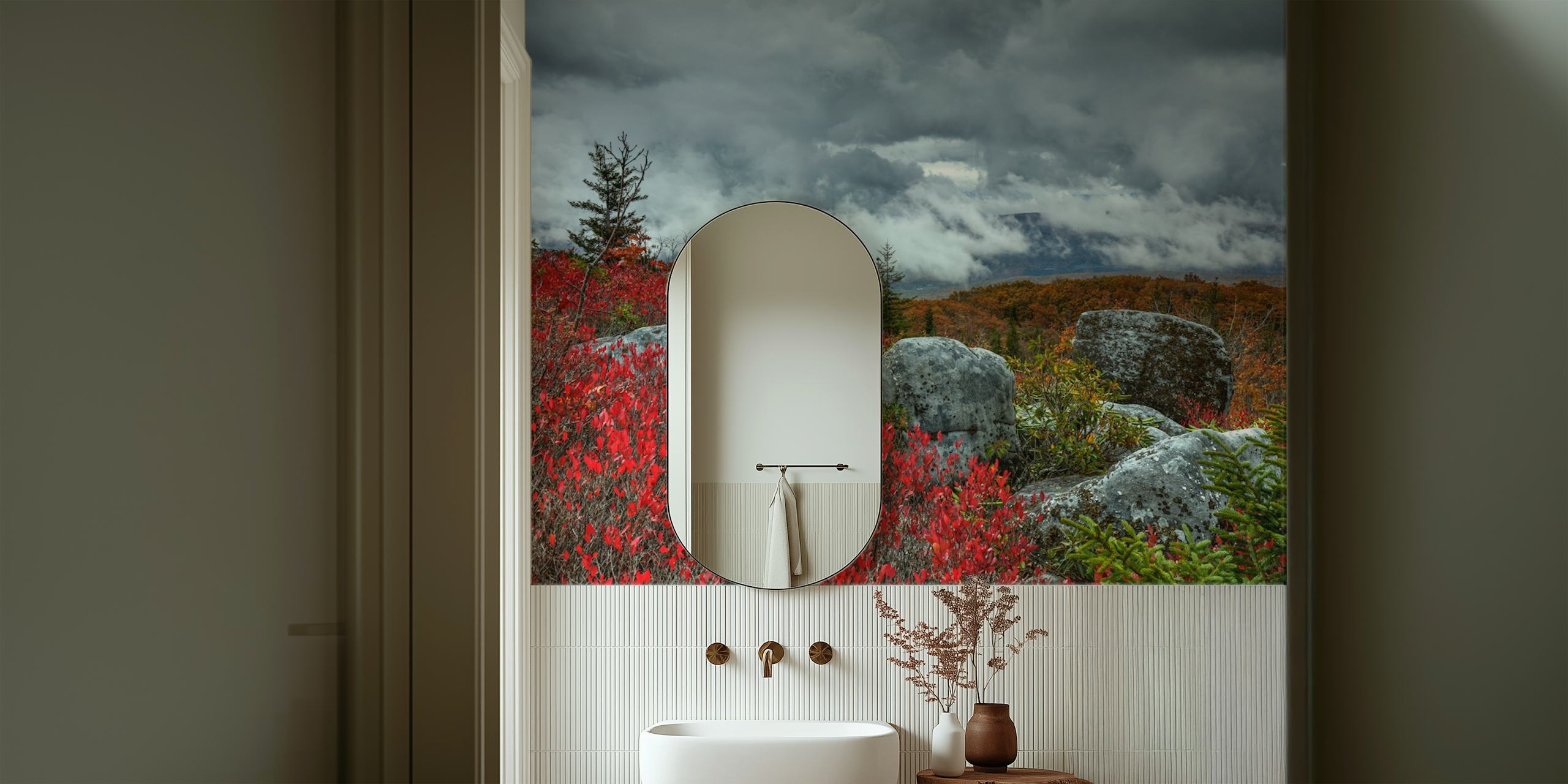 Storm over Dolly Sods Wilderness with vibrant red foliage and moody skies wall mural