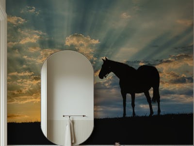 Calm Sunrise with a Horse