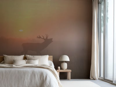 Misty Morning Stag