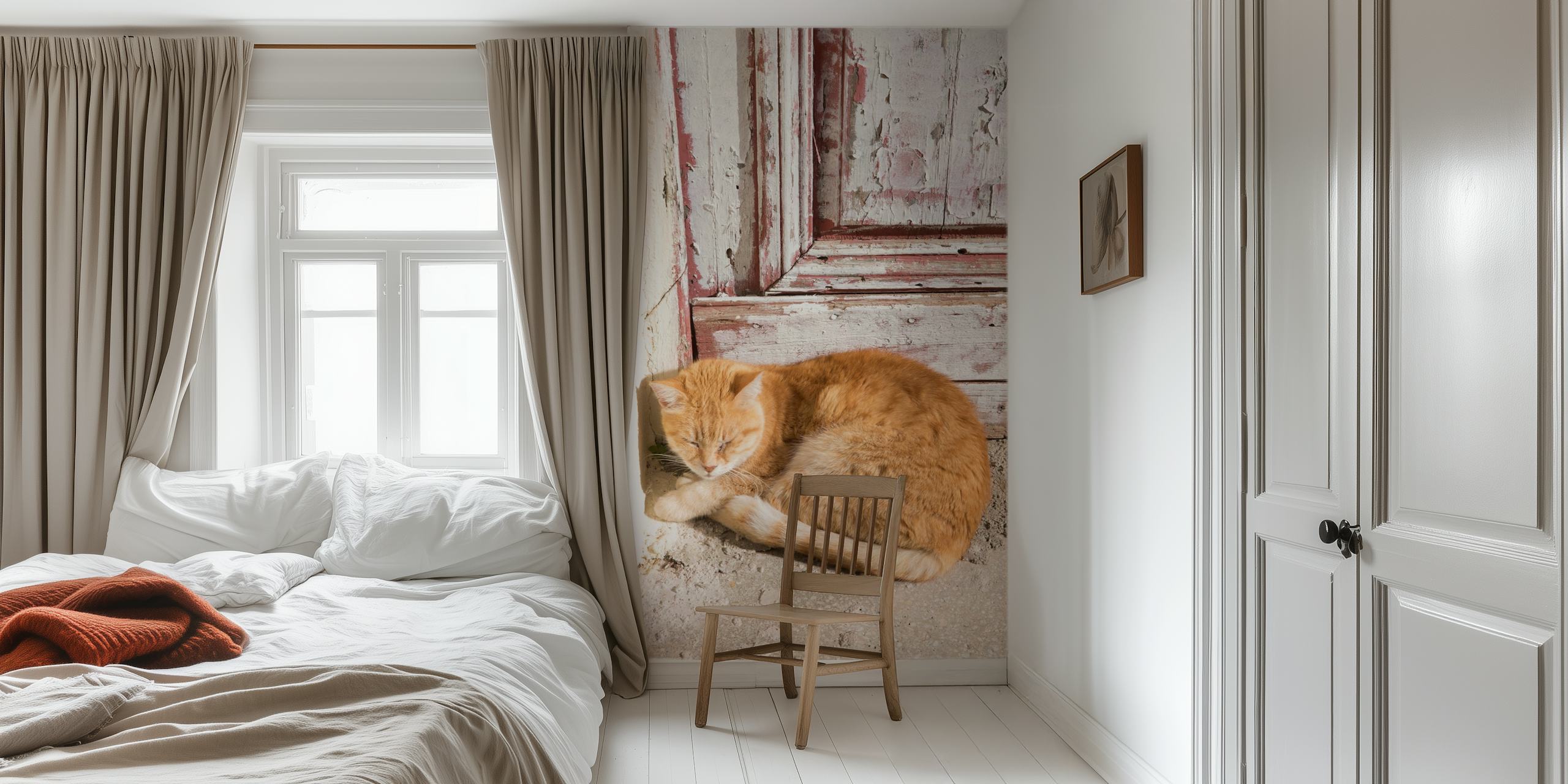 Chat mignon se repose contre une porte