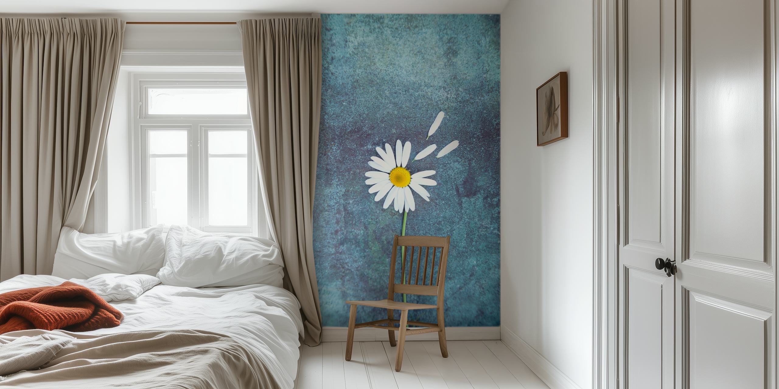 White daisy flower with yellow center on blue background wallpaper