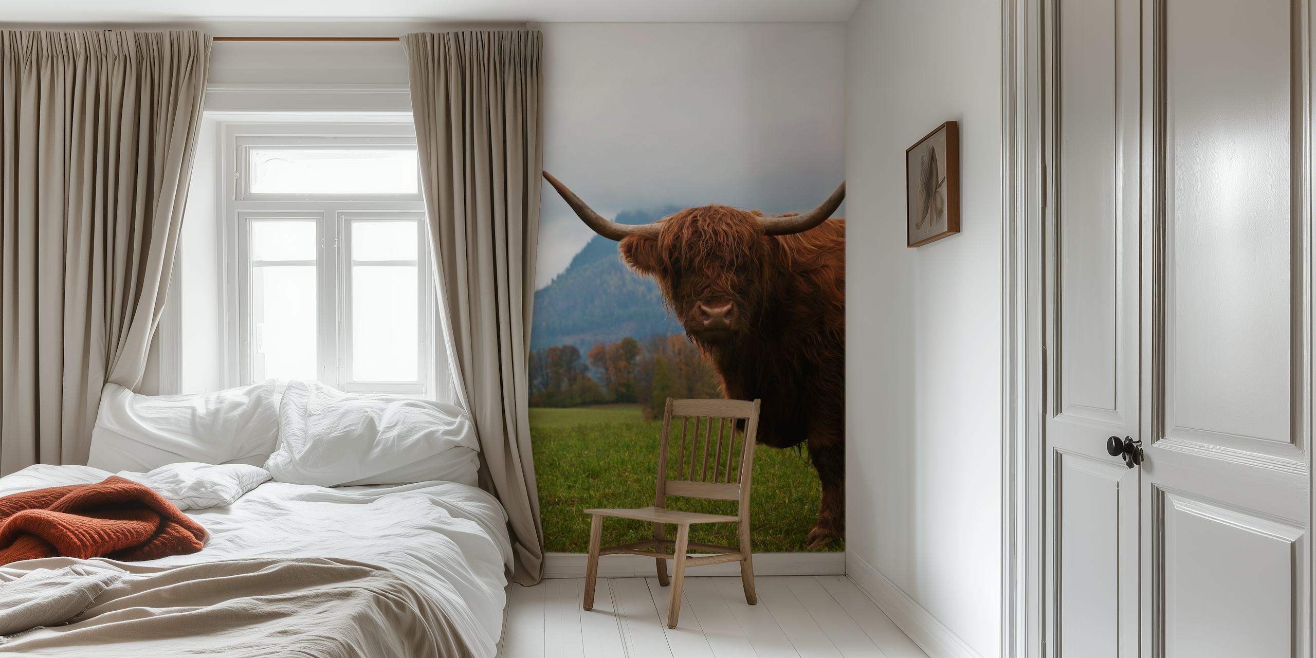 Tapeta Highland Cow v obývacím pokoji