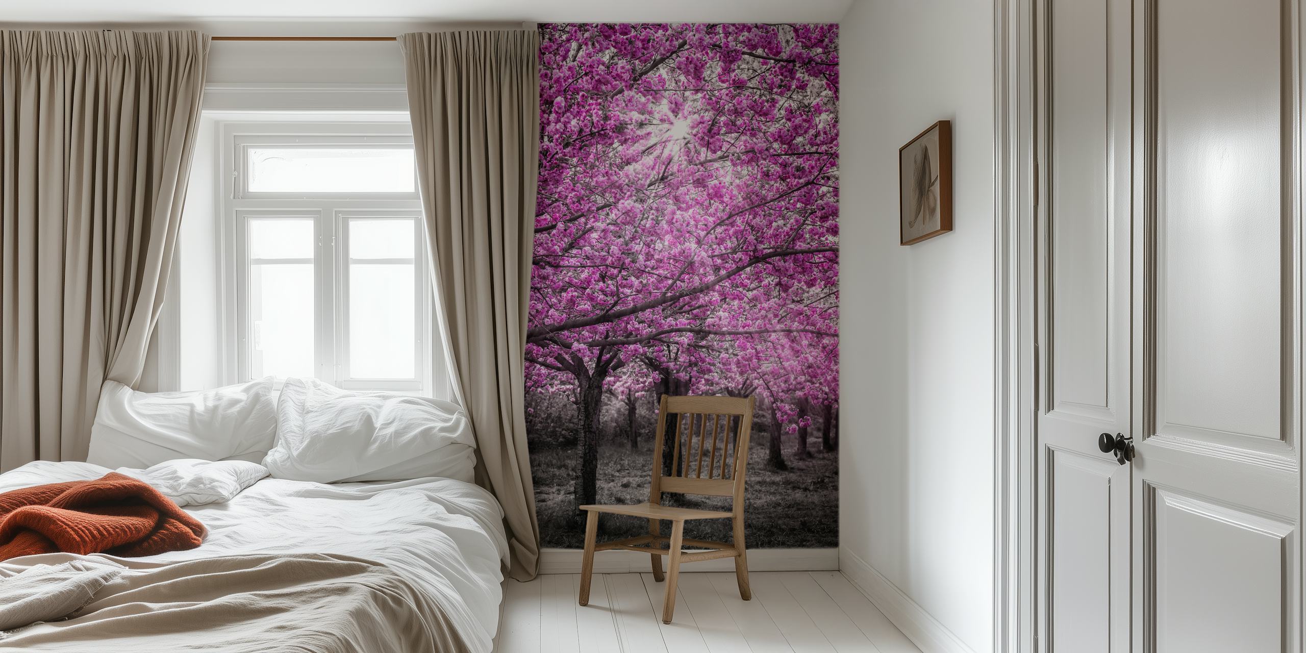 Fototapet av körsbärsblommor i rosa med solstrålar som tränger igenom grenar över en monokromatisk skogsbakgrund