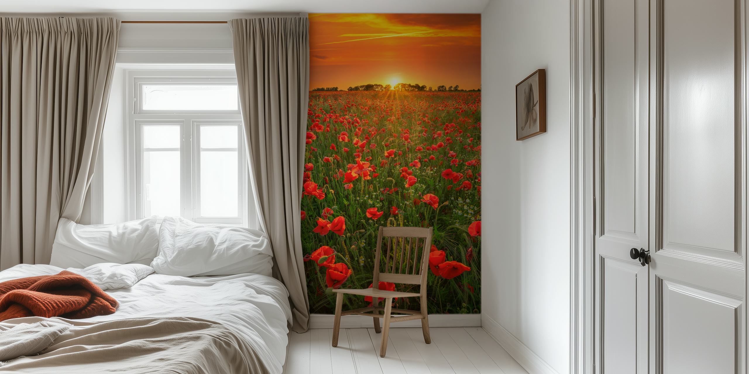 Poppies at sunset tapet i et rom