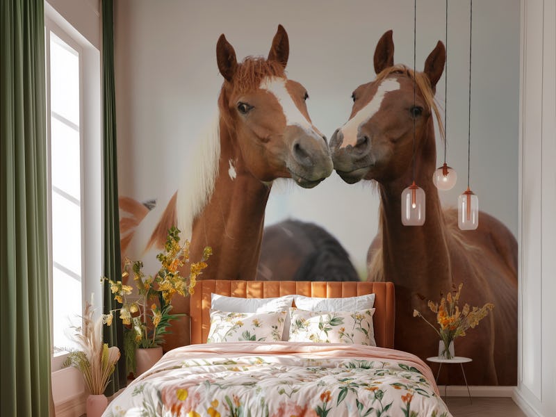Two Playful Horses Together